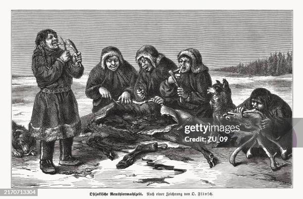 ostyak reindeer meal, wood engraving, published in 1880 - scurvy stock illustrations