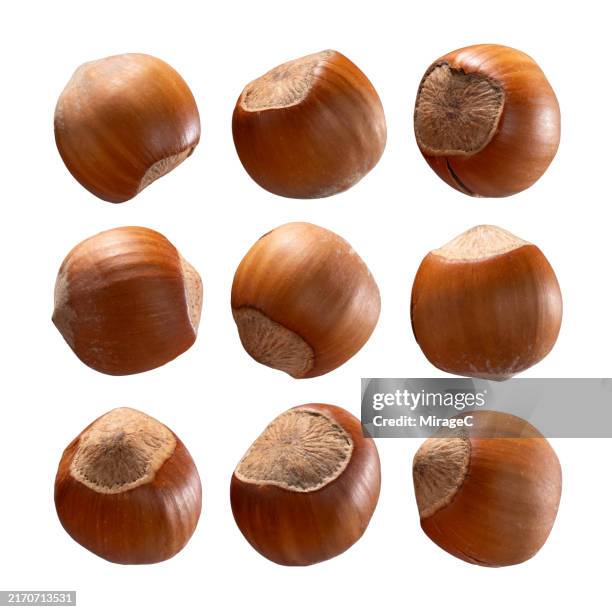 hazelnuts in shell isolated on white background - hazelnoot stockfoto's en -beelden