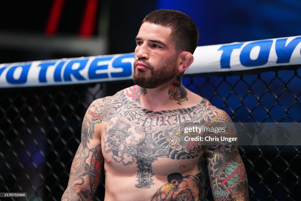 UFC Fight Night: Burns v Brady