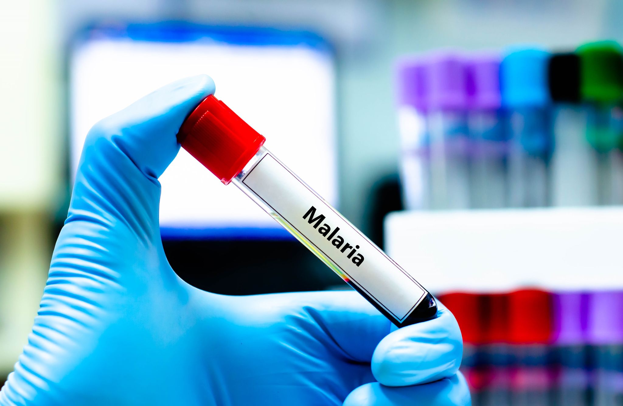 malaria prevention