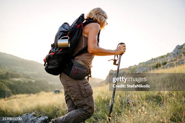 woman mountaineer - hiking pole stock pictures, royalty-free photos & images