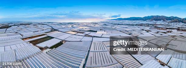 mar de invernaderos de plástico para cultivos agrícolas en andalucía españa vista aérea - invernadero fotografías e imágenes de stock