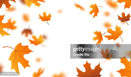 Falling Autumn Leaves Background Falling Autumn Leaves Background