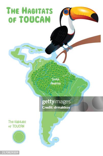 toucan and toucan birds habitat map - punta cana stock illustrations