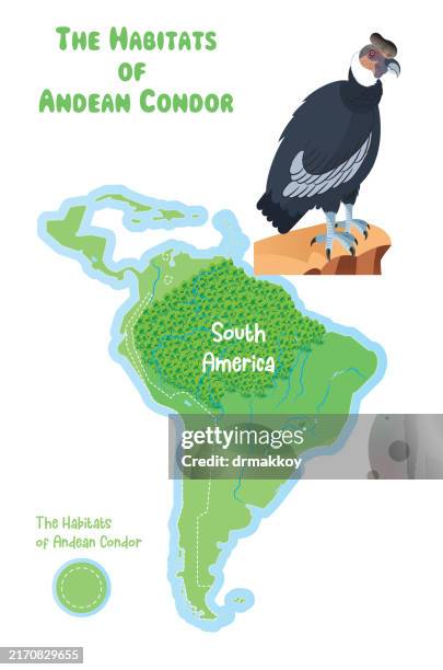76 Amazon Rainforest Map High Res Illustrations Getty Images 76-amazon-rainforest-map-high-res-illustrations-getty-images