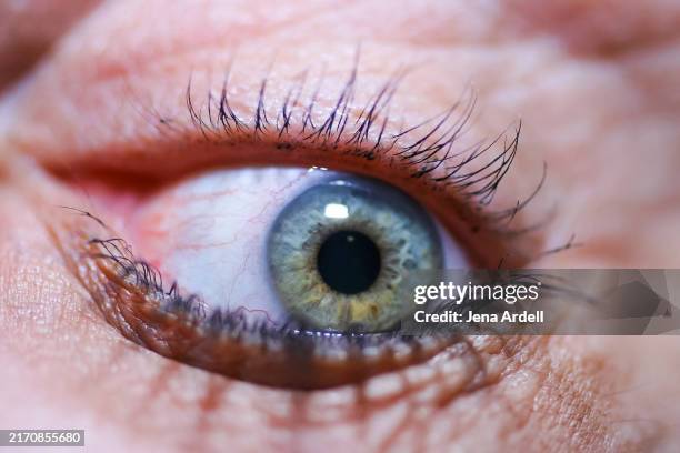 vision and sight concept, eye closeup, ophthalmology eye care - pretty eye makeup for green eyes stock pictures, royalty-free photos & images