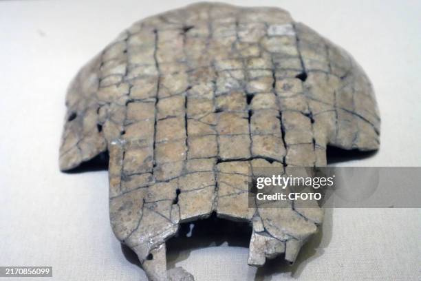 Oracle Script Shang 22 Oracle Bone Script Stock Photos, High-Res Pictures, and Images ...