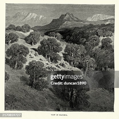 History of Spain, View in Majorca, Shepherds grazing flock inwoodland, Gustave Dore, 19th Century Vintage illustration History of Spain, View in Majorca, Shepherds grazing flock inwoodland, Gustave Dore, 19th Century Vintage illustration