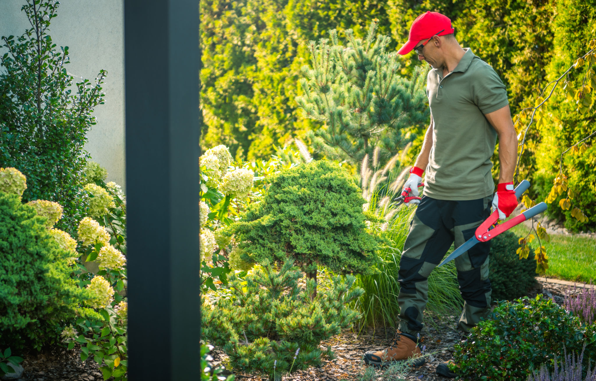 summer garden maintenance