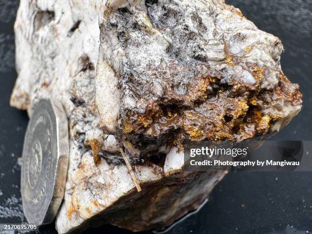 2,027 Arsenic Stock Photos, High-Res Pictures, and Images - Getty
