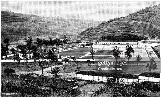 ilustraciones, imágenes clip art, dibujos animados e iconos de stock de ilustración antigua: plantación de café, brasil - finca-cafetera