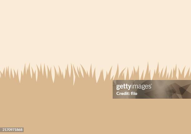 ilustraciones, imágenes clip art, dibujos animados e iconos de stock de otoño cosecha de otoño borde de hierba fondo - arrancar malas hierbas