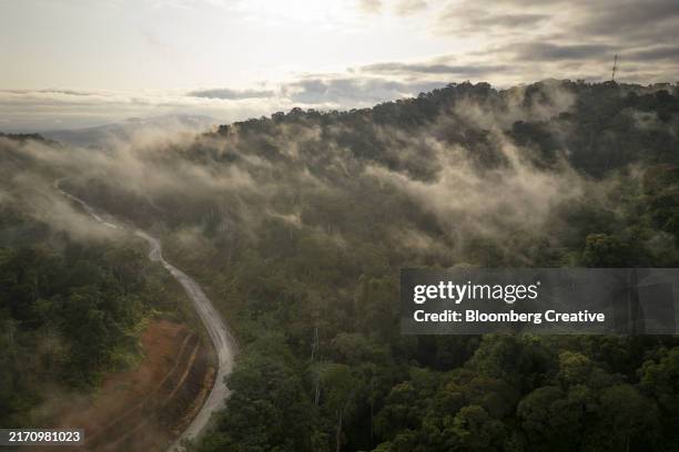 low clouds above a forest canopy - gabon stock pictures, royalty-free photos & images