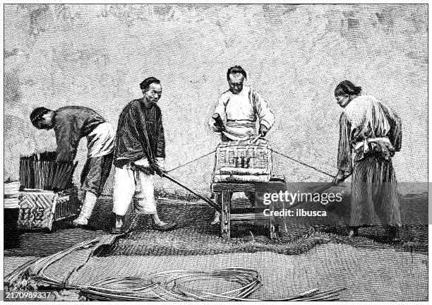 antique illustration: packing tea, china - tea leaf stock illustrations