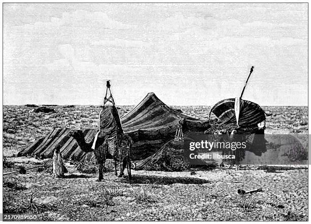 antique illustration: sahara desert, tent - abandoned stock illustrations