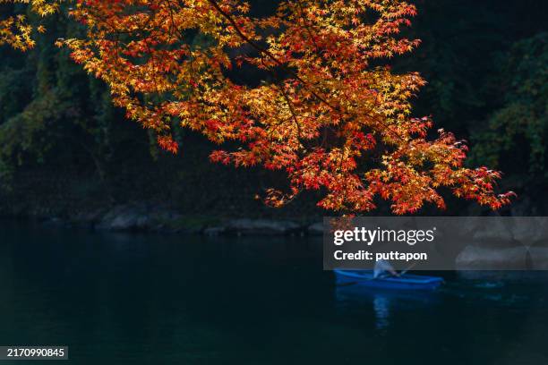 beautiful scenery along the hozugawa river in colorful autumn, arashiyama, kyoto, japan - solo giapponesi foto e immagini stock