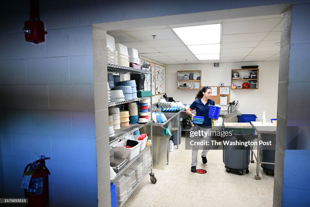 Guam kingfisher - Front Royal, VA