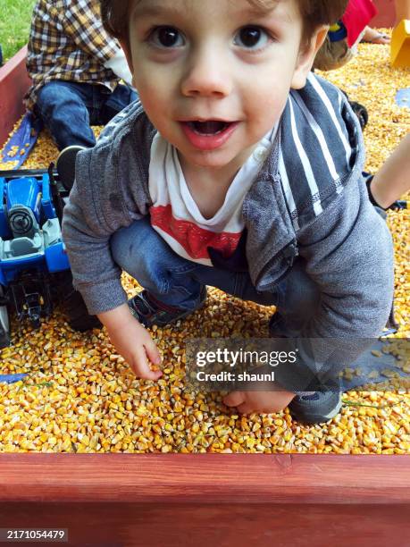 boy plays in corn sandbox - children playing in sandbox stock pictures, royalty-free photos & images