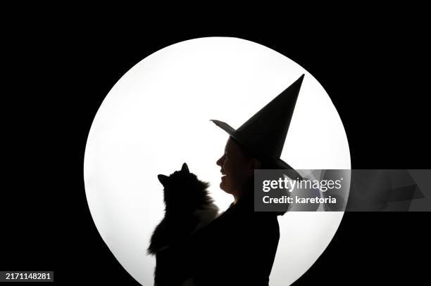 silhouette of witch in hat with large full moon and cat - cat women on the moon stock pictures, royalty-free photos & images