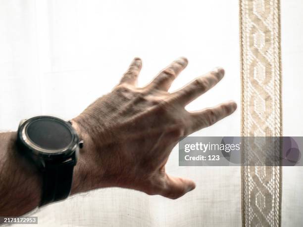 Hand Backlit 3,773 Forms 123 Stock Photos, High-Res Pictures, and Images - Getty Images