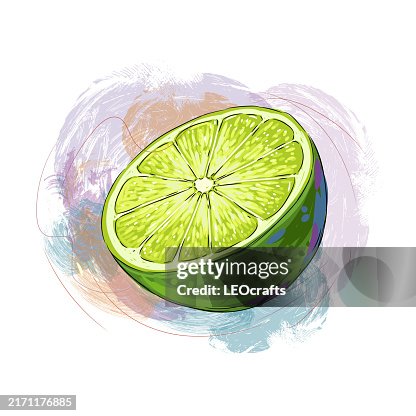 Lemon Slice. Lemon Slice.