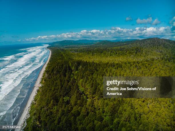 Aerial view of Beach in Olympic National Forest, shows pine trees leading up to beach.