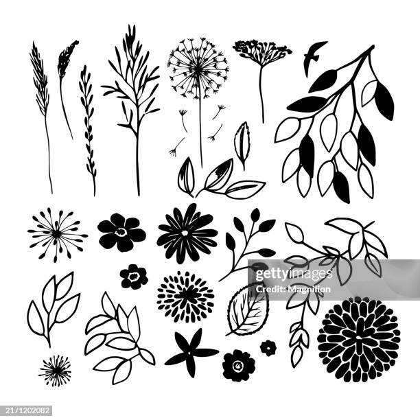 stockillustraties, clipart, cartoons en iconen met floral and botanical line art set in black, featuring various leaves, flowers, and plant elements, vector illustration - schoonheidsspecialist natuur