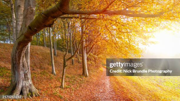 November Outside 67,289 November Landscape Stock Photos, High-Res Pictures, and Images ...