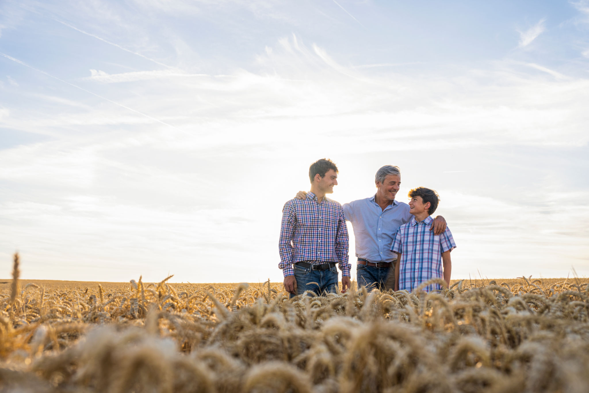 Wide angle shot of farmer talking to his two sons while standing in wheat field at sunset Wide angle shot of farmer talking to his two sons while standing in wheat field at sunset