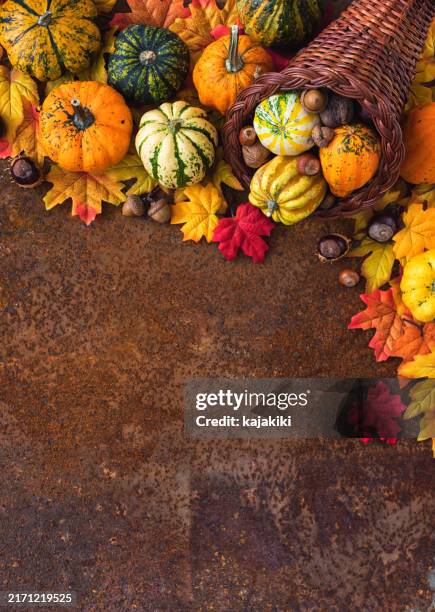 decoración de otoño o acción de gracias - thanksgiving fotografías e imágenes de stock
