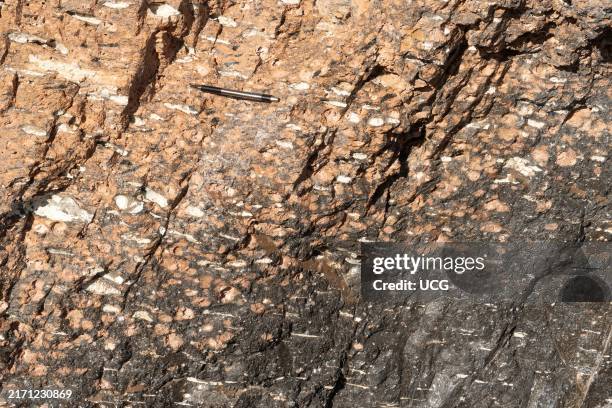 10,073 Tuff Stock Photos, High-Res Pictures, and Images - Getty Images