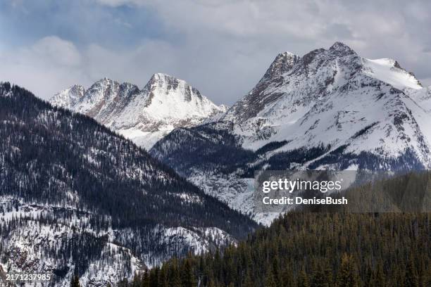 winter wilderness, silverton - san juan county colorado stock pictures, royalty-free photos & images