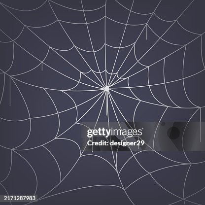 Spider web background vector design Spider web background vector design