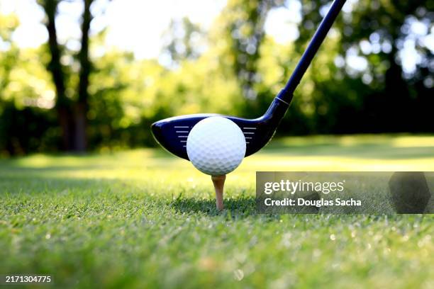 golfer about to hit the ball on the course - teeing off stock pictures, royalty-free photos & images
