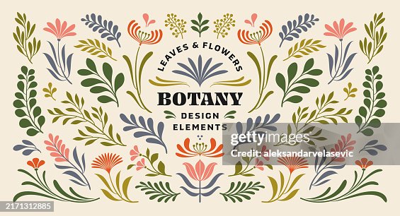 Flowers and Leaves Design Elements Flowers and Leaves Design Elements