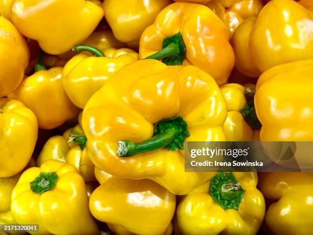 peppers - yellow bell pepper stock pictures, royalty-free photos & images