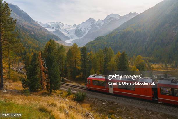 red train near morteratsch glacier in swiss alps in autumn - glacier express stock pictures, royalty-free photos & images