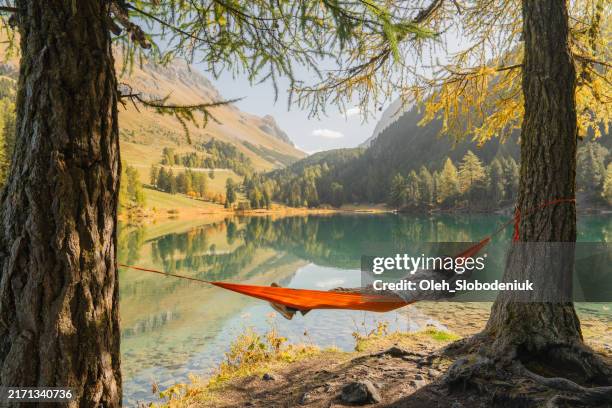 hombre descansando en hamaca en un hermoso lago en los alpes suizos en otoño - hamaca fotografías e imágenes de stock