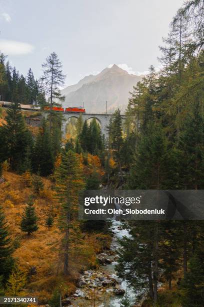 train sur le viaduc de landwasser en suisse en automne - landwasser viaduct photos et images de collection