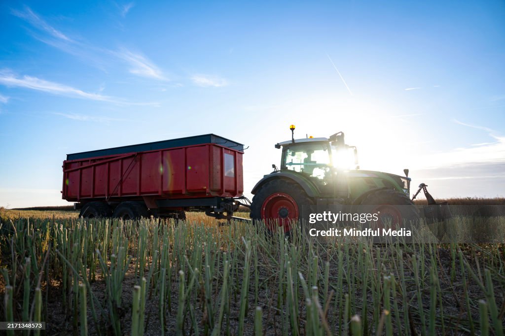 Silhouette of tractor pulling a trailer in cultivated field with sun background