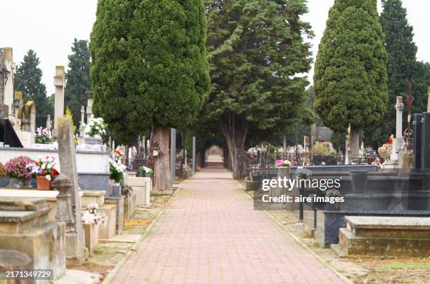 basket of flowers in a cemetery seen from a side angle to the graves in a row with several flowers in the background. - cemetery stock pictures, royalty-free photos & images