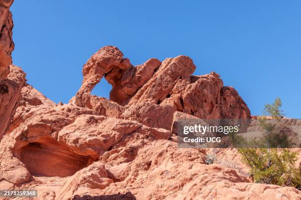 Elephant Rock natural sandstone arch at Valley of Fire State Park near Overton, Nevada.