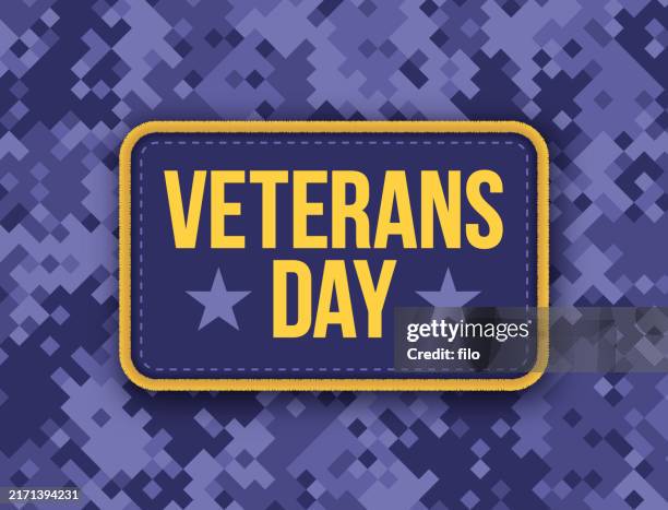 veterans day badge patch camouflage background - military patch stock illustrations