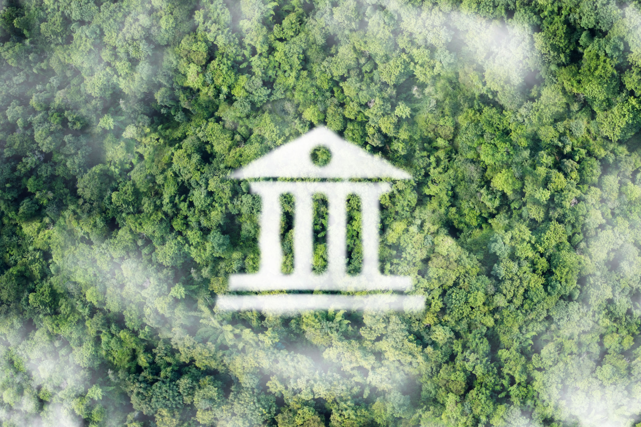 government-regulation-environment