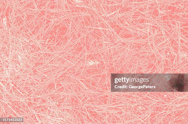 pine needles textured background - pine tree close up stock illustrations