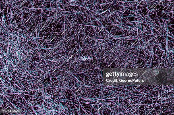 pine needles textured background with glitch technique - feather background stock illustrations