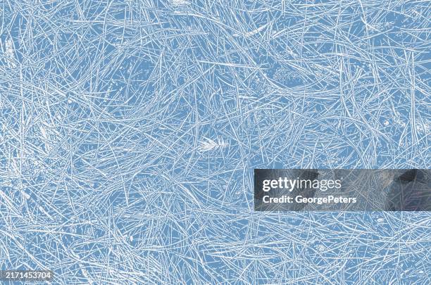 pine needles textured background - pine tree close up stock illustrations