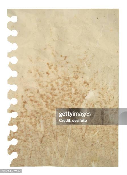 vertical empty blank rough dirty messy spotted textured light cream beige coloured plain monochrome crumpled wrinkled rough uneven texture spiral notepad cracked torn paper sheet vector background with torn holes from puncher with copy space - notebook paper texture stock illustrations