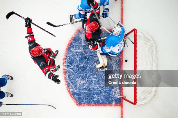 celebración tras un gol en un intenso partido de hockey sobre hielo - hockey sobre hielo fotografías e imágenes de stock