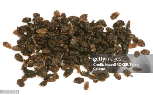 berberis vulgaris.dried berries of the barberry, very rich in vitamins and have a tart flavour, spice - berberis vulgaris stock pictures, royalty-free photos & images